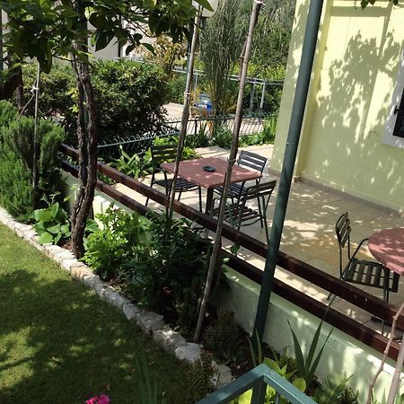 Apartments Simo Petrovac Exterior photo