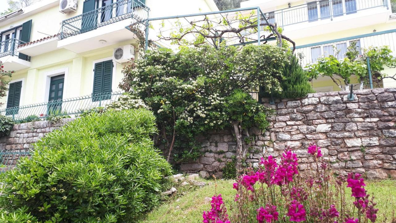 Apartments Simo Petrovac Exterior photo