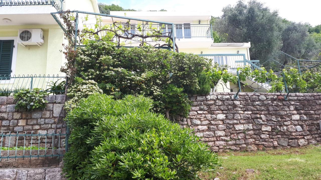 Apartments Simo Petrovac Exterior photo